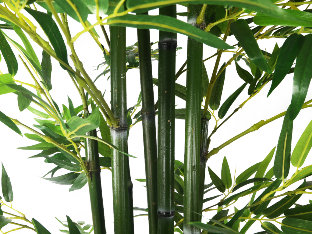 bamboo header | Artplants
